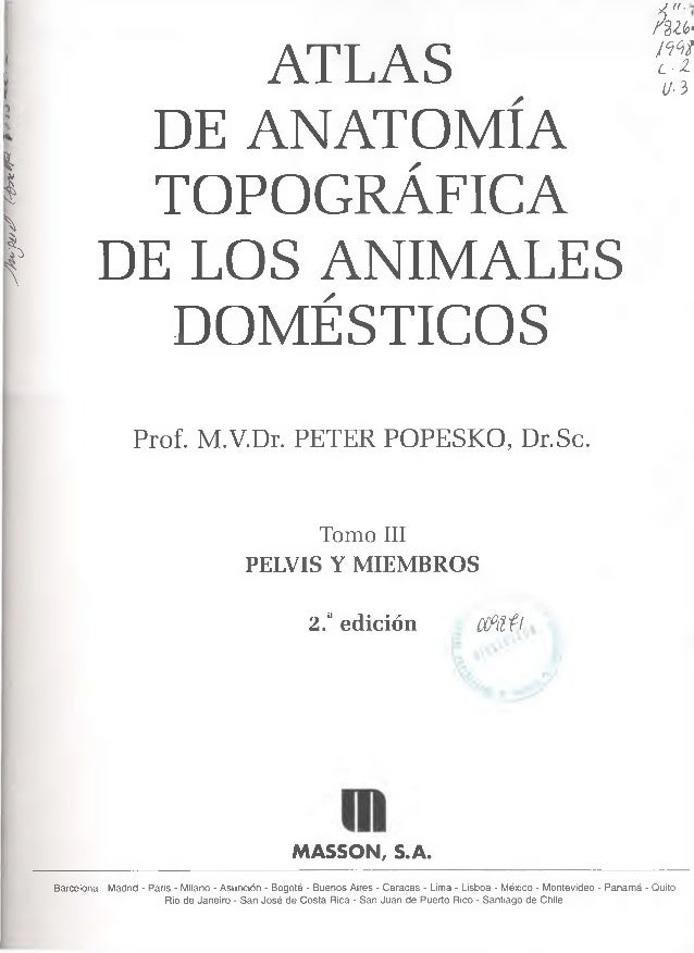 popesko em portugues popesko em portugues